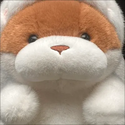 햄스터 후드 모찌 봉제인형 시리즈